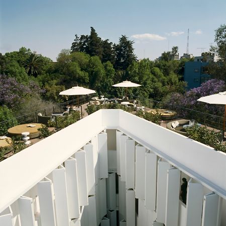 Condesa Df, Mexico City, A Member Of Design Hotels Restoran fotoğraf