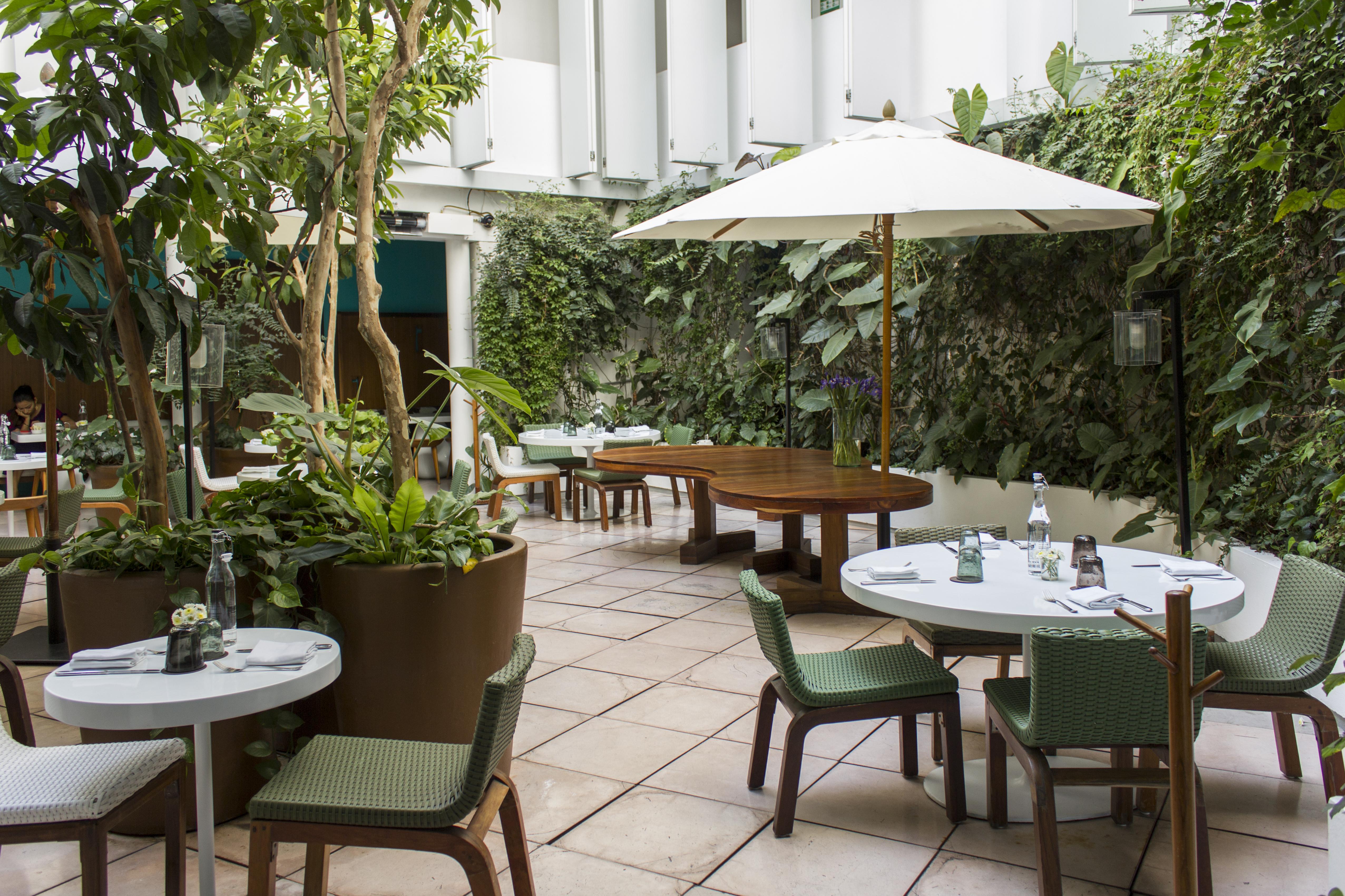 Condesa Df, Mexico City, A Member Of Design Hotels Dış mekan fotoğraf